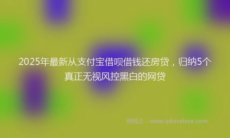 2025年最新从支付宝借呗借钱还房贷，归纳5个真正无视风控黑白的网贷