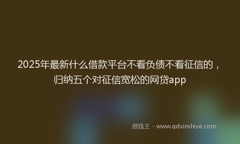 2025年最新什么借款平台不看负债不看征信的，归纳五个对征信宽松的网贷app