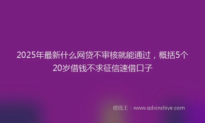 2025年最新什么网贷不审核就能通过，概括5个20岁借钱不求征信速借口子