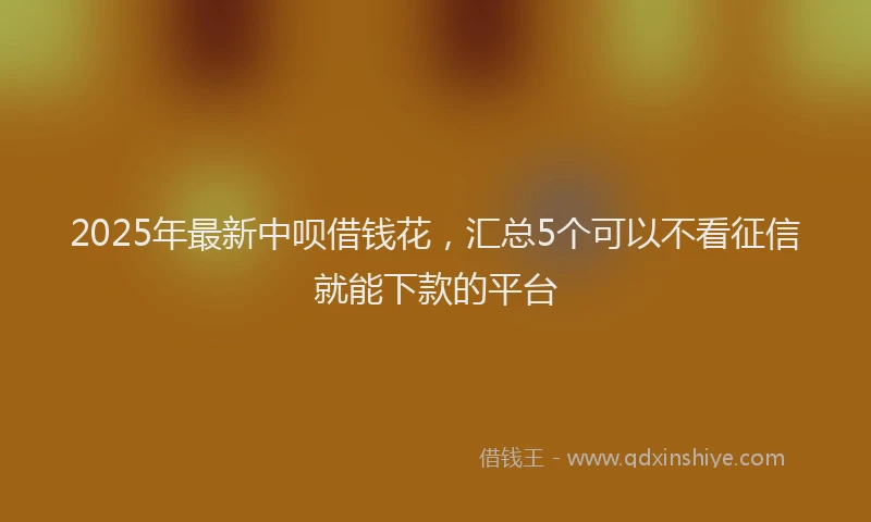 2025年最新中呗借钱花，汇总5个可以不看征信就能下款的平台