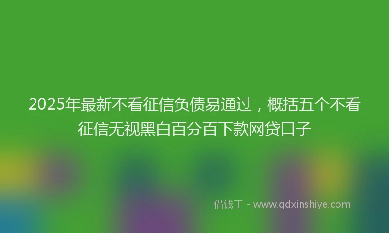 2025年最新不看征信负债易通过，概括五个不看征信无视黑白百分百下款网贷口子
