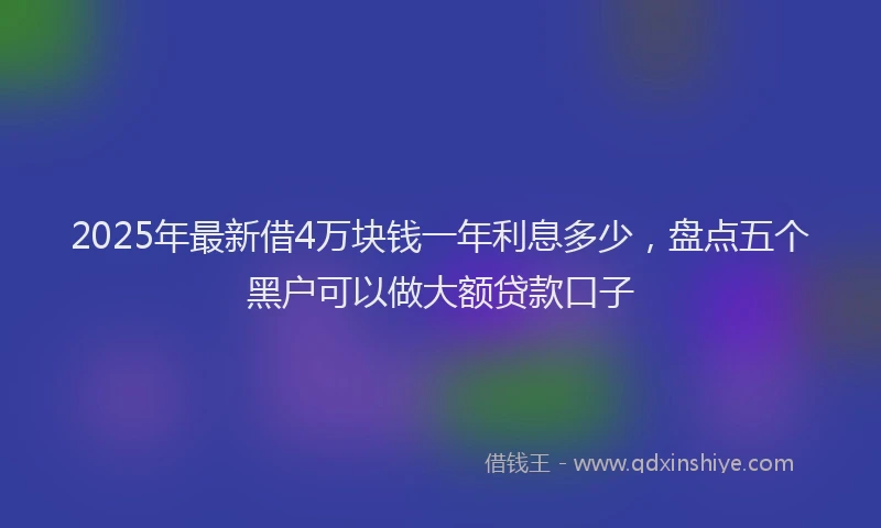 2025年最新借4万块钱一年利息多少，盘点五个黑户可以做大额贷款口子