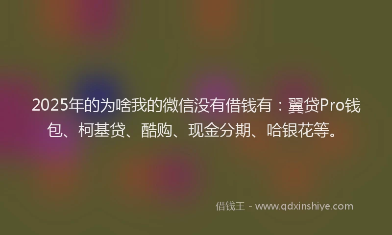2025年的为啥我的微信没有借钱有：翼贷Pro钱包、柯基贷、酷购、现金分期、哈银花等。
