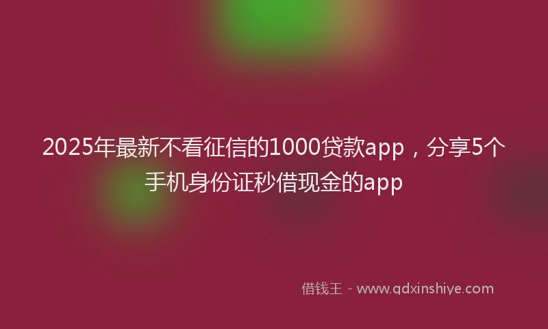 2025年最新不看征信的1000贷款app，分享5个手机身份证秒借现金的app