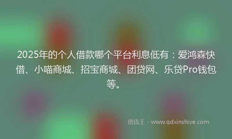 2025年的个人借款哪个平台利息低有：爱鸿森快借、小喵商城、招宝商城、团贷网、乐贷Pro钱包等。