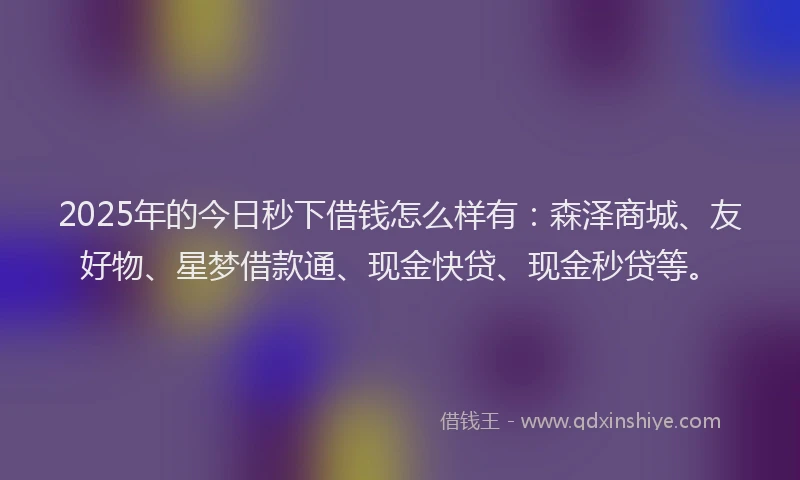 2025年的今日秒下借钱怎么样有：森泽商城、友好物、星梦借款通、现金快贷、现金秒贷等。