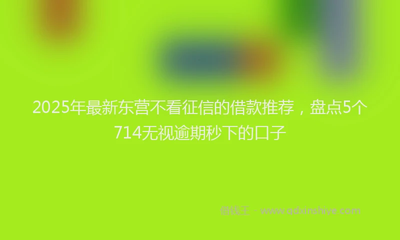 2025年最新东营不看征信的借款推荐，盘点5个714无视逾期秒下的口子