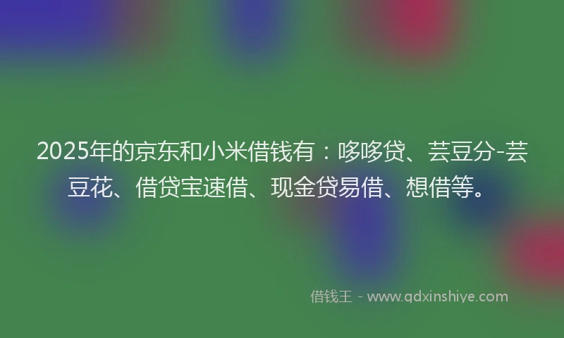 2025年的京东和小米借钱有：哆哆贷、芸豆分-芸豆花、借贷宝速借、现金贷易借、想借等。