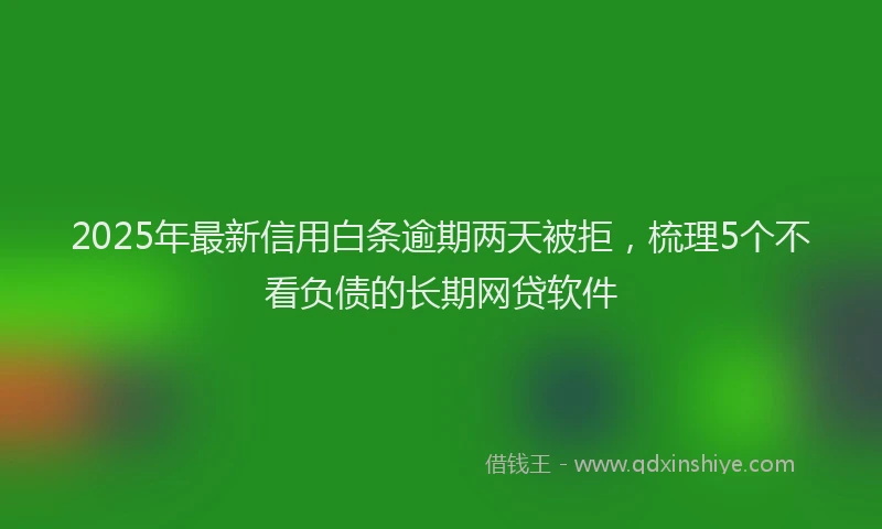 2025年最新信用白条逾期两天被拒，梳理5个不看负债的长期网贷软件