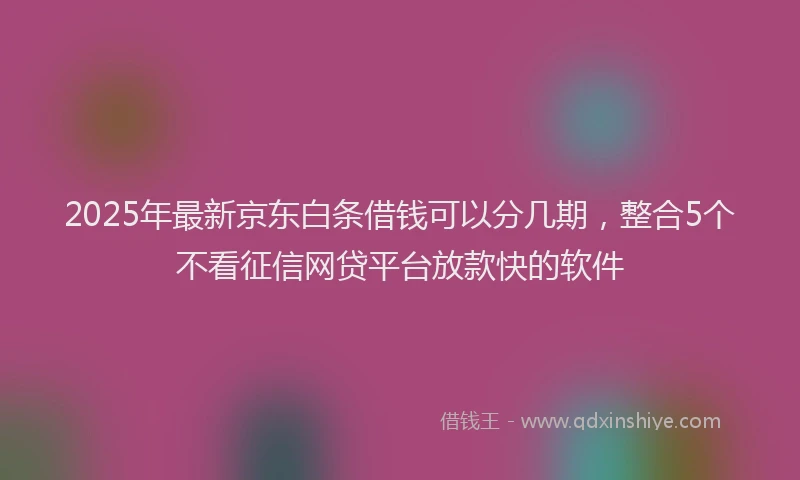 2025年最新京东白条借钱可以分几期，整合5个不看征信网贷平台放款快的软件