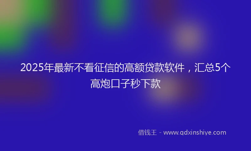 2025年最新不看征信的高额贷款软件，汇总5个高炮口子秒下款