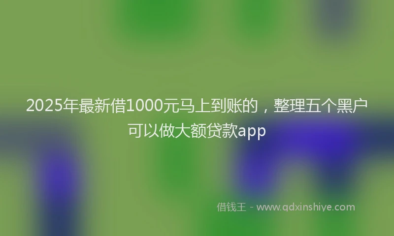 2025年最新借1000元马上到账的，整理五个黑户可以做大额贷款app