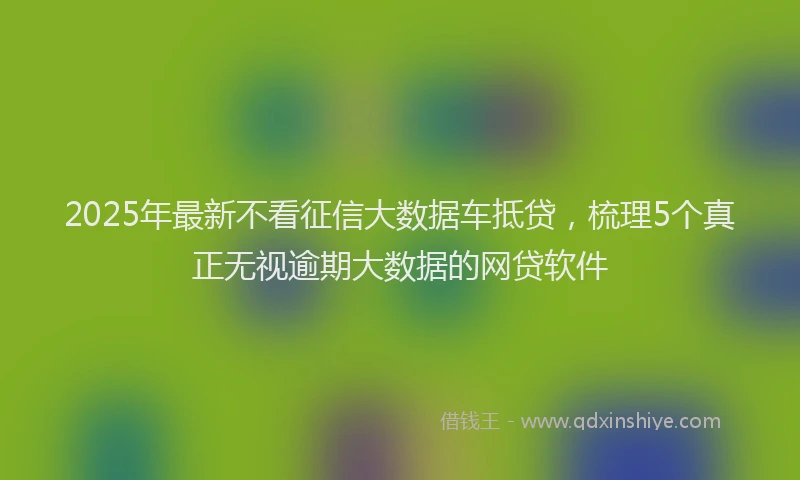 2025年最新不看征信大数据车抵贷，梳理5个真正无视逾期大数据的网贷软件