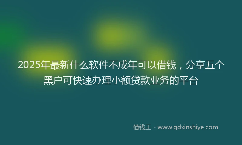 2025年最新什么软件不成年可以借钱，分享五个黑户可快速办理小额贷款业务的平台