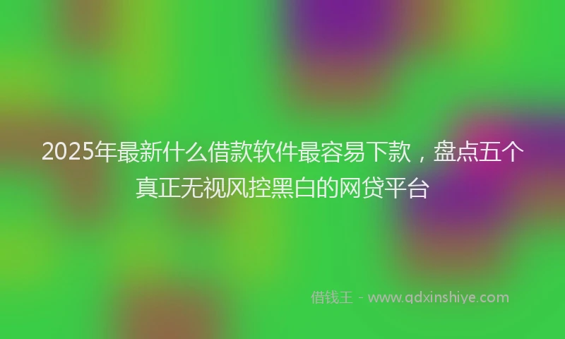 2025年最新什么借款软件最容易下款，盘点五个真正无视风控黑白的网贷平台