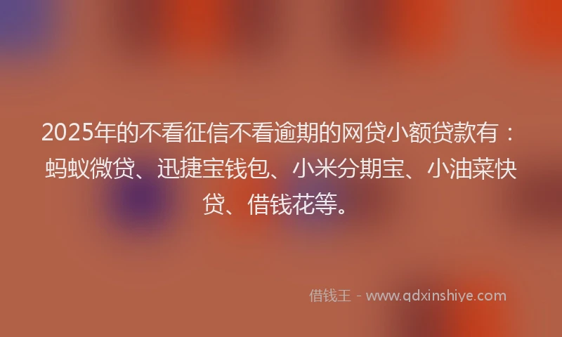 2025年的不看征信不看逾期的网贷小额贷款有：蚂蚁微贷、迅捷宝钱包、小米分期宝、小油菜快贷、借钱花等。