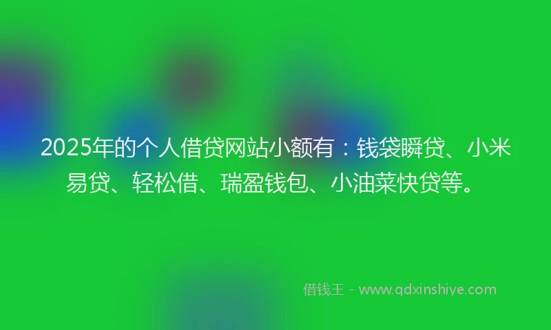 2025年的个人借贷网站小额有：钱袋瞬贷、小米易贷、轻松借、瑞盈钱包、小油菜快贷等。