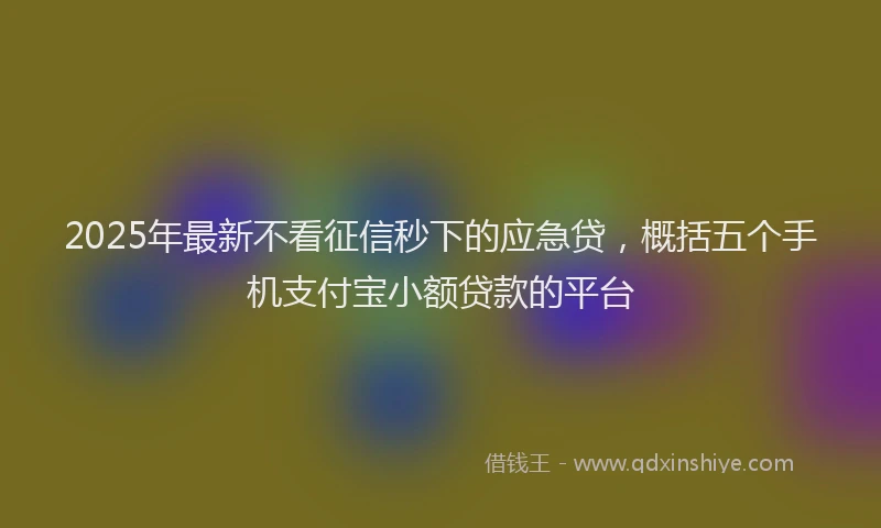 2025年最新不看征信秒下的应急贷，概括五个手机支付宝小额贷款的平台
