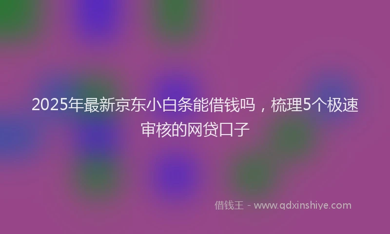 2025年最新京东小白条能借钱吗，梳理5个极速审核的网贷口子