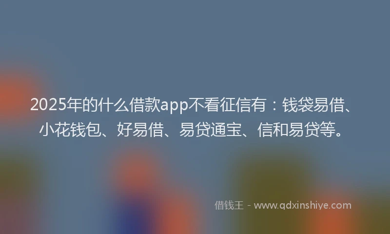 2025年的什么借款app不看征信有：钱袋易借、小花钱包、好易借、易贷通宝、信和易贷等。