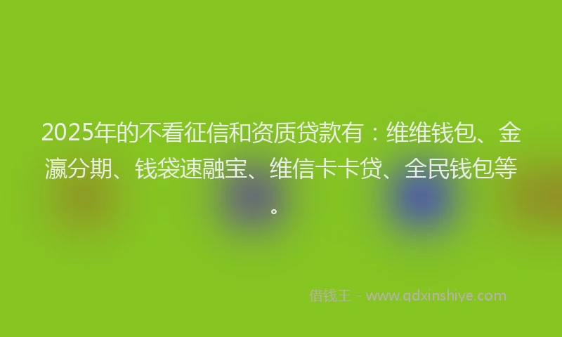 2025年的不看征信和资质贷款有：维维钱包、金瀛分期、钱袋速融宝、维信卡卡贷、全民钱包等。
