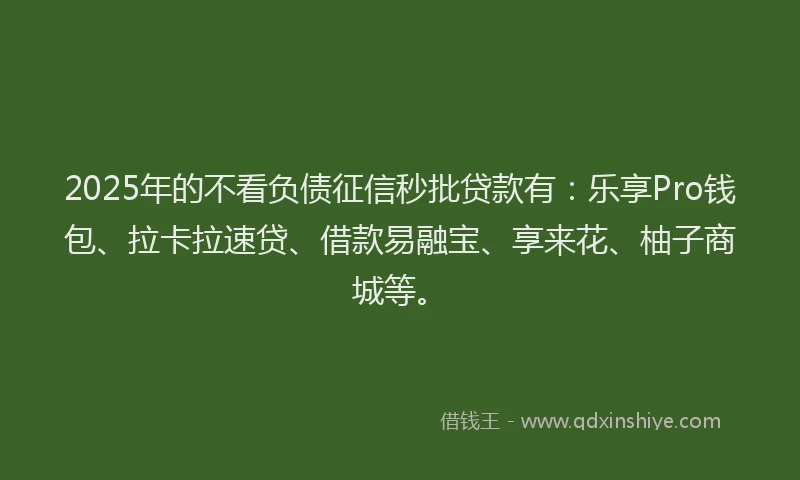 2025年的不看负债征信秒批贷款有：乐享Pro钱包、拉卡拉速贷、借款易融宝、享来花、柚子商城等。