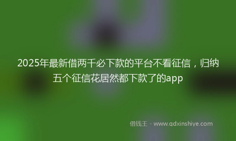 2025年最新借两千必下款的平台不看征信，归纳五个征信花居然都下款了的app