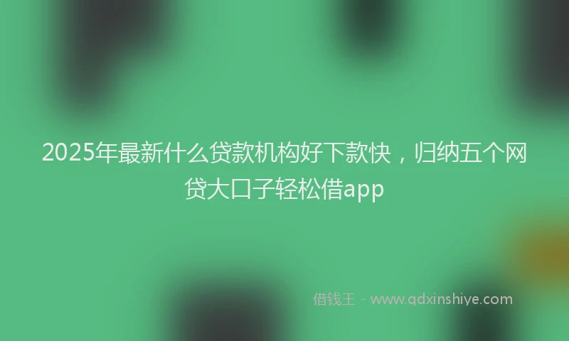 2025年最新什么贷款机构好下款快，归纳五个网贷大口子轻松借app