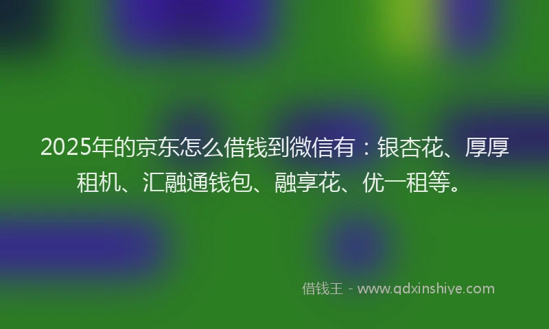 2025年的京东怎么借钱到微信有：银杏花、厚厚租机、汇融通钱包、融享花、优一租等。