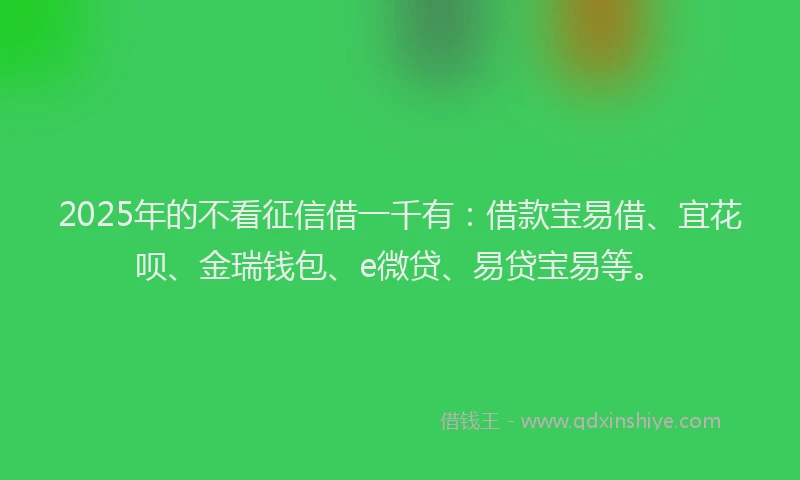 2025年的不看征信借一千有:借款宝易借、宜花呗、金瑞钱包、e微贷、易贷宝易等。