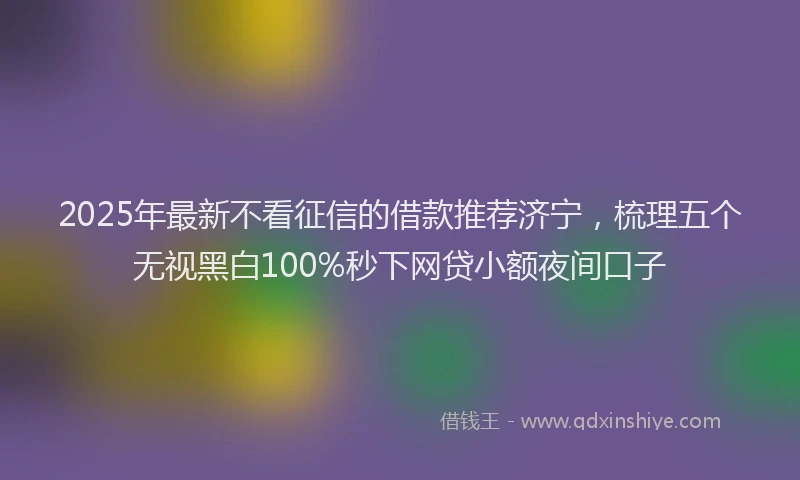 2025年最新不看征信的借款推荐济宁，梳理五个无视黑白100%秒下网贷小额夜间口子