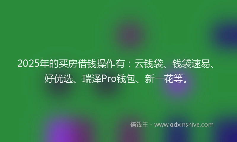 2025年的买房借钱操作有：云钱袋、钱袋速易、好优选、瑞泽Pro钱包、新一花等。