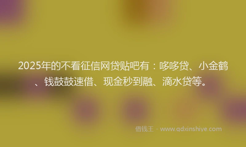 2025年的不看征信网贷贴吧有：哆哆贷、小金鹤、钱鼓鼓速借、现金秒到融、滴水贷等。