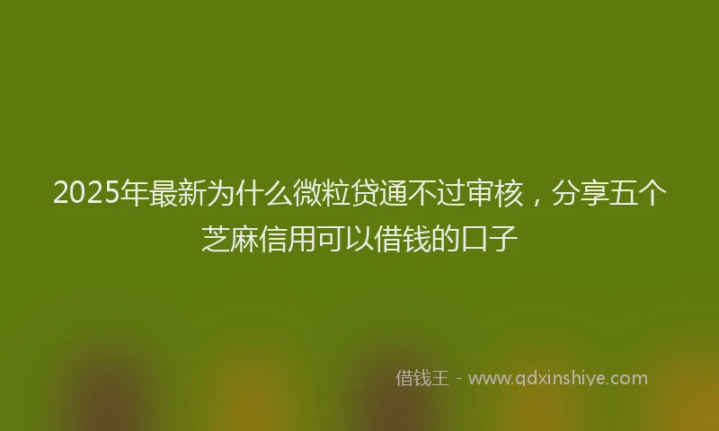 2025年最新为什么微粒贷通不过审核，分享五个芝麻信用可以借钱的口子