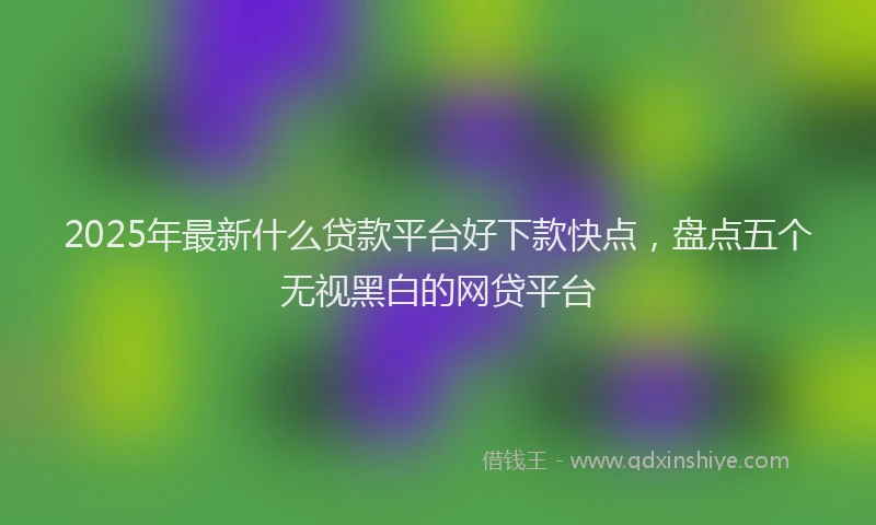 2025年最新什么贷款平台好下款快点，盘点五个无视黑白的网贷平台