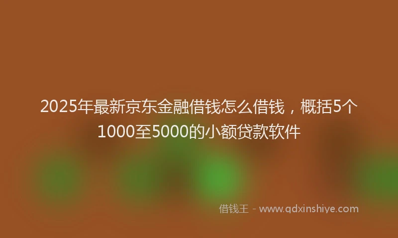 2025年最新京东金融借钱怎么借钱，概括5个1000至5000的小额贷款软件