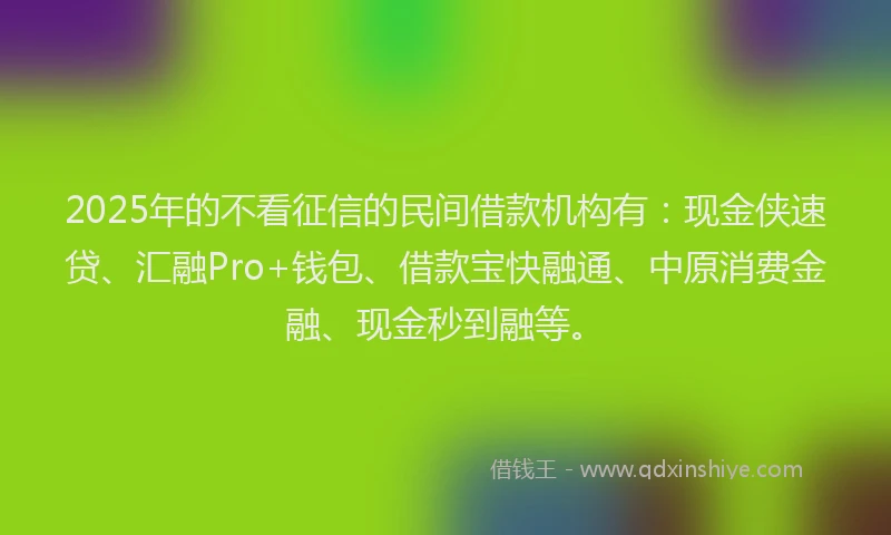 2025年的不看征信的民间借款机构有：现金侠速贷、汇融Pro+钱包、借款宝快融通、中原消费金融、现金秒到融等。