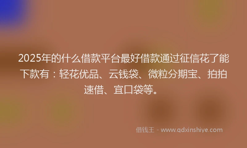2025年的什么借款平台最好借款通过征信花了能下款有：轻花优品、云钱袋、微粒分期宝、拍拍速借、宜口袋等。