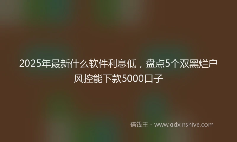 2025年最新什么软件利息低，盘点5个双黑烂户风控能下款5000口子