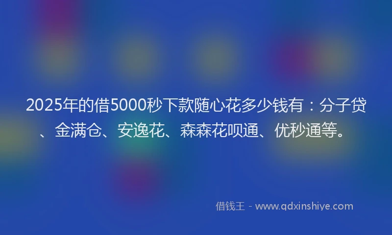 2025年的借5000秒下款随心花多少钱有：分子贷、金满仓、安逸花、森森花呗通、优秒通等。