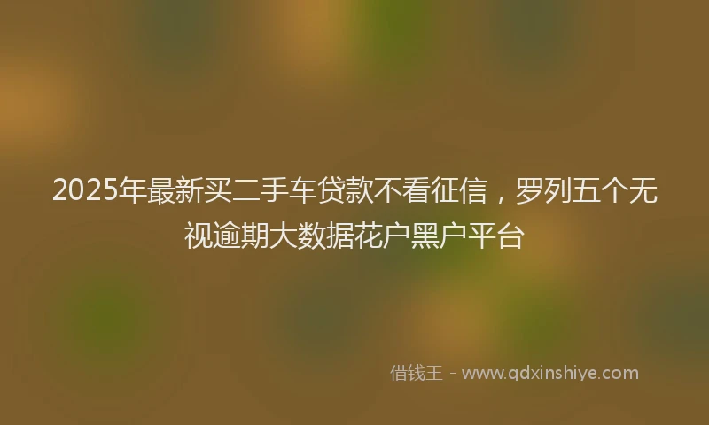 2025年最新买二手车贷款不看征信，罗列五个无视逾期大数据花户黑户平台
