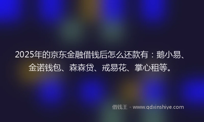 2025年的京东金融借钱后怎么还款有：鹅小易、金诺钱包、森森贷、戒易花、掌心租等。
