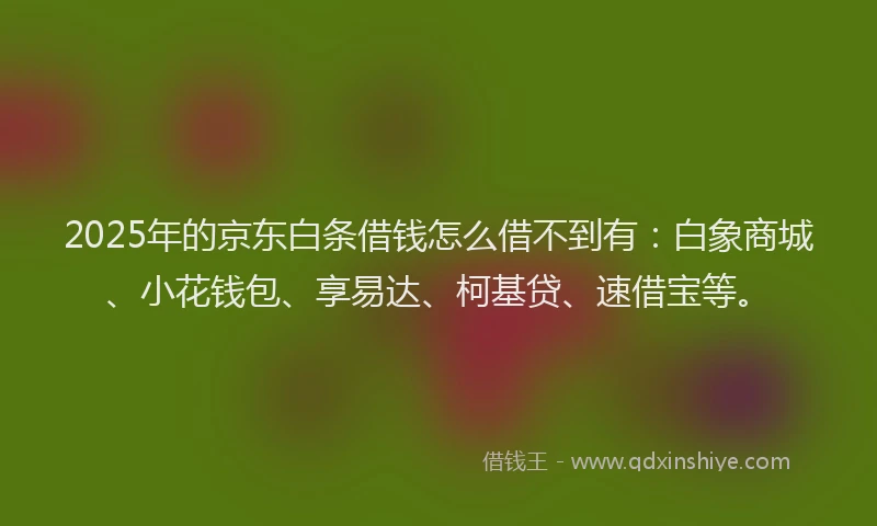 2025年的京东白条借钱怎么借不到有：白象商城、小花钱包、享易达、柯基贷、速借宝等。