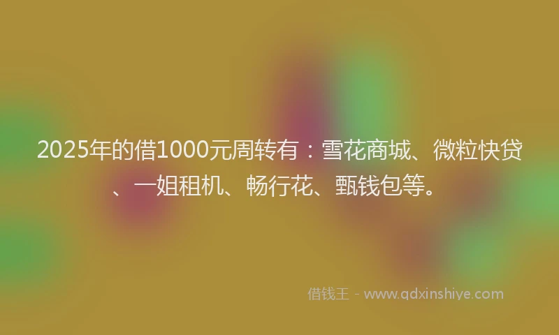 2025年的借1000元周转有：雪花商城、微粒快贷、一姐租机、畅行花、甄钱包等。