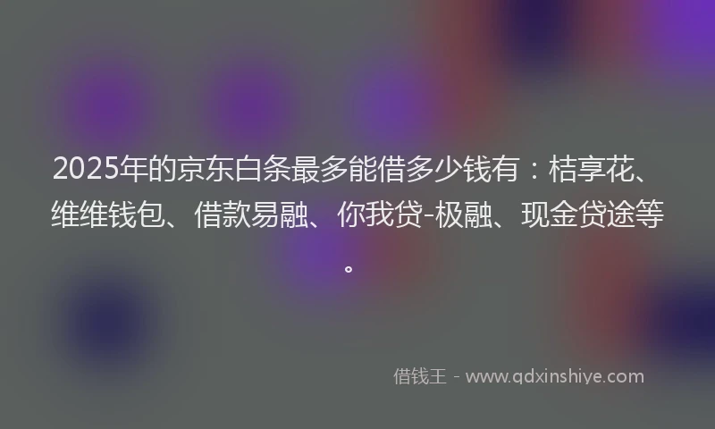 2025年的京东白条最多能借多少钱有：桔享花、维维钱包、借款易融、你我贷-极融、现金贷途等。