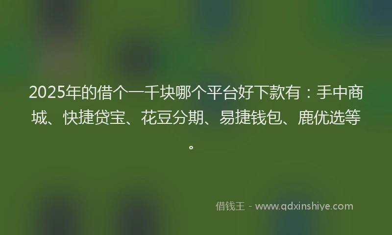 2025年的借个一千块哪个平台好下款有：手中商城、快捷贷宝、花豆分期、易捷钱包、鹿优选等。