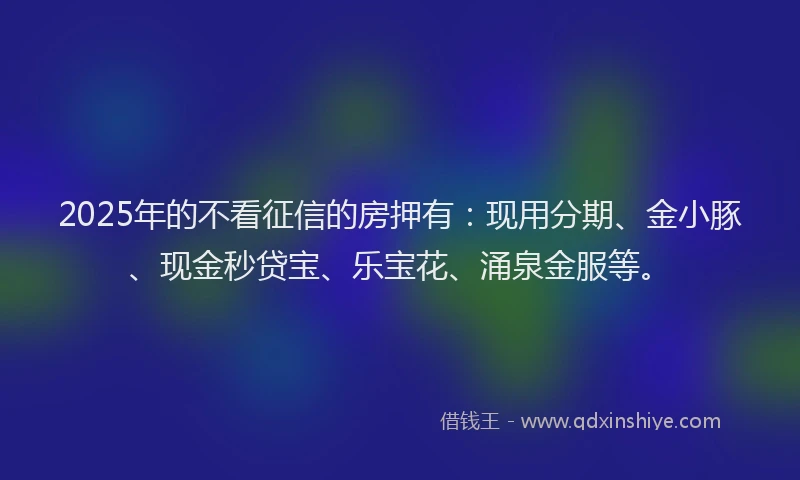 2025年的不看征信的房押有：现用分期、金小豚、现金秒贷宝、乐宝花、涌泉金服等。