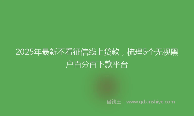 2025年最新不看征信线上贷款，梳理5个无视黑户百分百下款平台