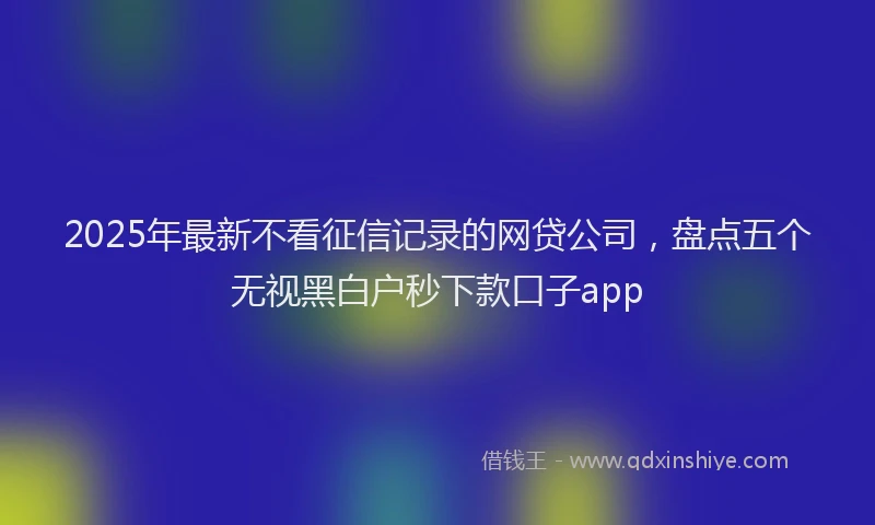 2025年最新不看征信记录的网贷公司，盘点五个无视黑白户秒下款口子app