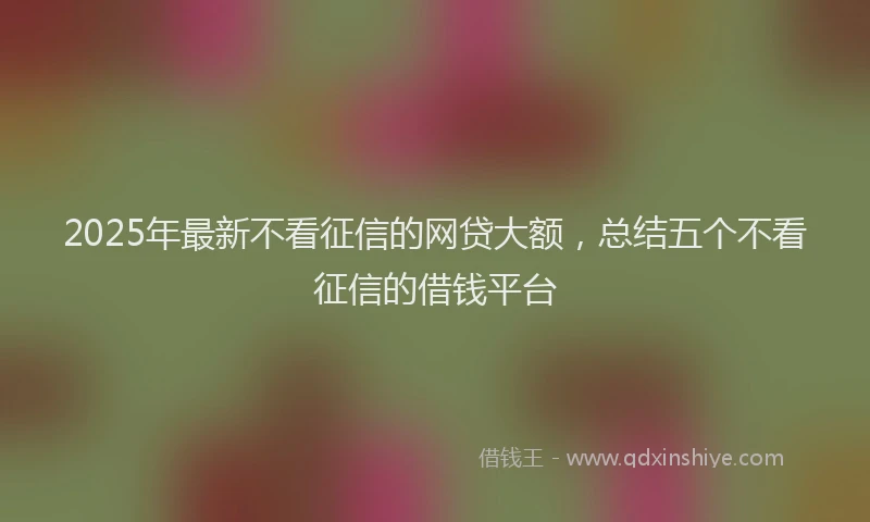 2025年最新不看征信的网贷大额，总结五个不看征信的借钱平台